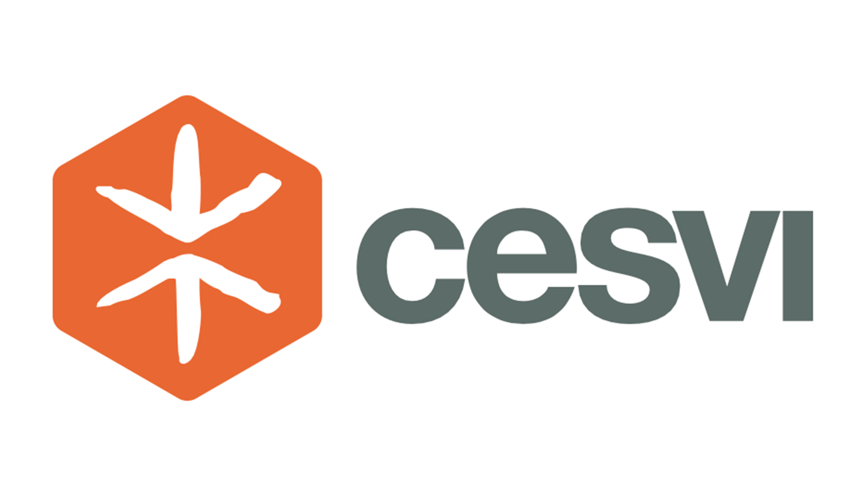 logo cesvi